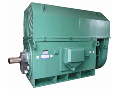 布尔津Y系列6KV高压电机